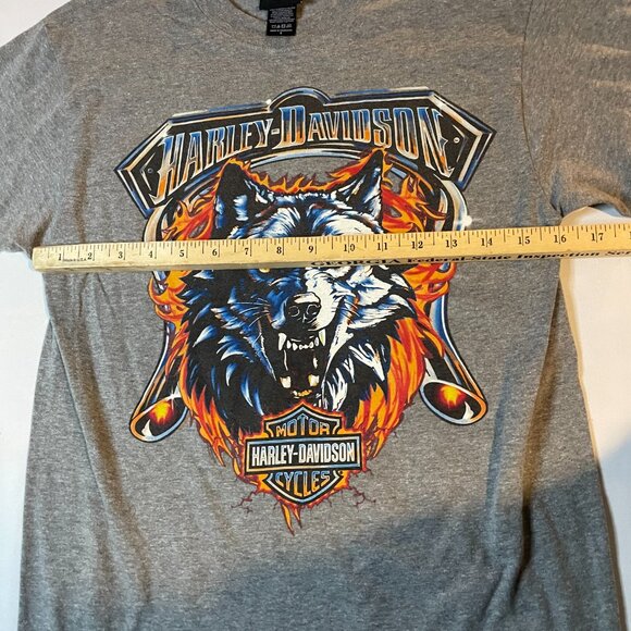 Harley Davidson Southern Devil Tee Shirt Men Small Gray Graphic Motorcycle Biker - Picture 5 of 6